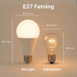 Størrelsen af en E27 BioLight-pære i forhold til en almindelig glødepære