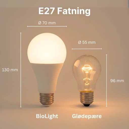 Størrelsen af en E27 BioLight-pære i forhold til en almindelig glødepære