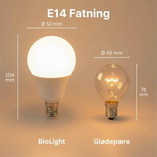 Størrelsen af en E14 BioLight-pære i forhold til en almindelig glødepære